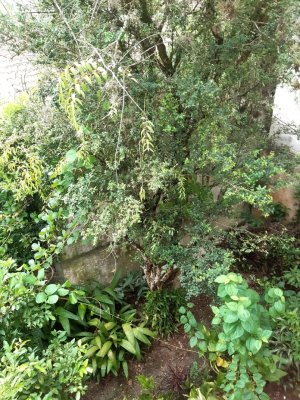 Loja com 250m² no bairro Petrópolis em Porto Alegre para Alugar