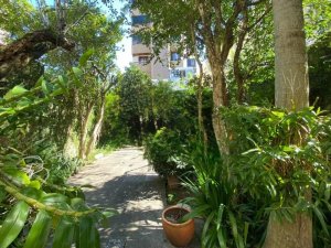 Casa com 270m², 3 dormitórios no bairro Petrópolis em Porto Alegre para Alugar