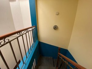 Casa com 270m², 3 dormitórios no bairro Petrópolis em Porto Alegre para Alugar