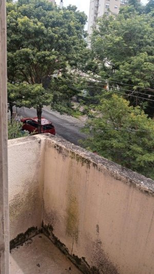 Casa com 146m², 2 dormitórios no bairro Petrópolis em Porto Alegre para Alugar