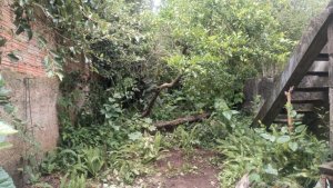 Casa com 146m², 2 dormitórios no bairro Petrópolis em Porto Alegre para Alugar