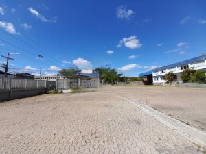 Galpão com 23.711m² no bairro Navegantes em Porto Alegre para Alugar