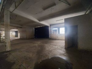 Galpão no bairro Navegantes em Porto Alegre para Alugar