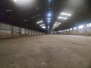 Galpão no bairro Navegantes em Porto Alegre para Alugar