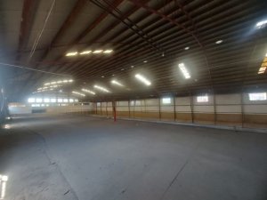 Galpão com 4.000m² no bairro Navegantes em Porto Alegre para Alugar