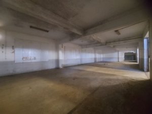 Galpão com 4.000m² no bairro Navegantes em Porto Alegre para Alugar