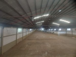 Galpão com 4.000m² no bairro Navegantes em Porto Alegre para Alugar