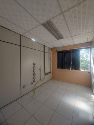 Galpão com 4.000m² no bairro Navegantes em Porto Alegre para Alugar