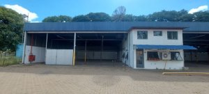 Depósito/Pavilhão no bairro Anchieta em Porto Alegre para Alugar