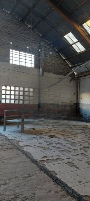 Galpão com 1.660m² no bairro Menino Deus em Porto Alegre para Alugar