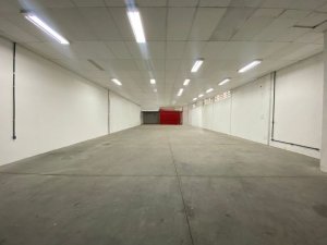 Galpão no bairro Partenon em Porto Alegre para Alugar