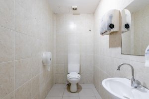 Casa comercial com 255m², 2 dormitórios no bairro Bom Fim em Porto Alegre para Alugar