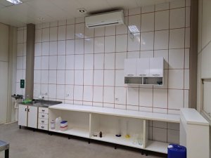 Galpão com 800m² no bairro Restinga em Porto Alegre para Alugar