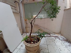 Loja com 40m² no bairro Bom Fim em Porto Alegre para Alugar