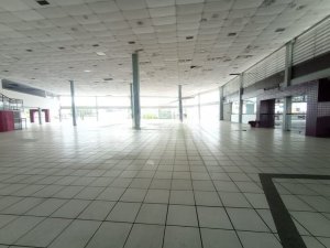 Loja com 3.292m² no bairro Jardim Lindóia em Porto Alegre para Alugar