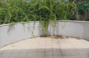 Loja com 448m² no bairro Moinhos de Vento em Porto Alegre para Alugar