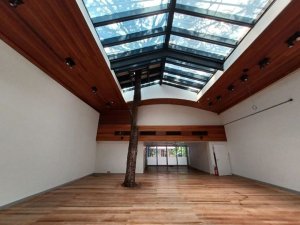 Loja com 882m² no bairro Moinhos de Vento em Porto Alegre para Alugar