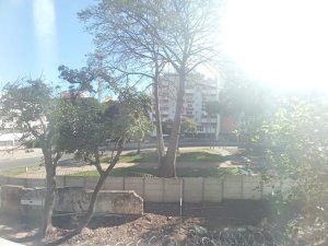 Apartamento com 37m², 1 dormitório no bairro Cidade Baixa em Porto Alegre para Alugar