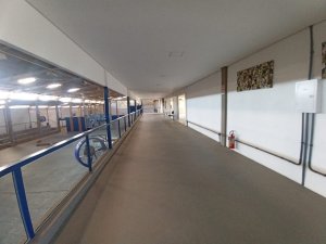 Galpão com 1.875m² no bairro Restinga em Porto Alegre para Alugar