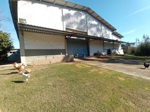 Galpão com 1.875m² no bairro Restinga em Porto Alegre para Alugar