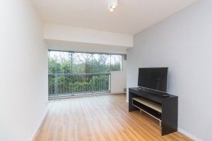 Apartamento com 60m², 1 dormitório no bairro Três Figueiras em Porto Alegre para Alugar