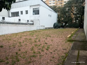 Terreno com 350m² no bairro Jardim Botânico em Porto Alegre para Alugar