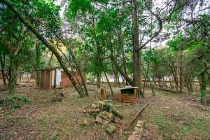 Terreno com 7.267m² no bairro Pedra Redonda em Porto Alegre para Alugar