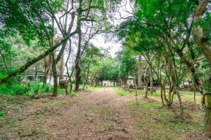 Terreno com 7.267m² no bairro Pedra Redonda em Porto Alegre para Alugar