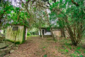 Terreno com 7.267m² no bairro Pedra Redonda em Porto Alegre para Alugar