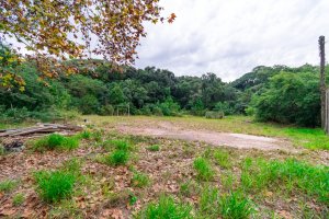Terreno com 7.267m² no bairro Pedra Redonda em Porto Alegre para Alugar