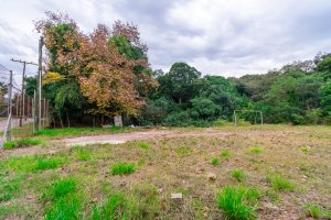 Terreno com 7.267m² no bairro Pedra Redonda em Porto Alegre para Alugar
