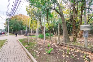 Terreno com 7.267m² no bairro Pedra Redonda em Porto Alegre para Alugar