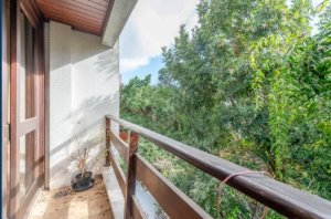 Apartamento com 186m², 2 dormitórios no bairro Petrópolis em Porto Alegre para Alugar