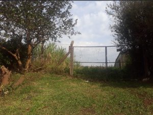 Terreno com 300m² no bairro Alto Petrópolis em Porto Alegre para Alugar