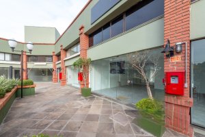 Loja com 57m² no bairro Vila Ipiranga em Porto Alegre para Alugar