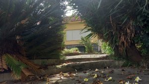 Casa Comercial com 200m² no bairro Vila Ipiranga em Porto Alegre para Alugar