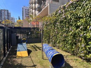 Apartamento com 25m², 1 dormitório no bairro Bela Vista em Porto Alegre para Alugar