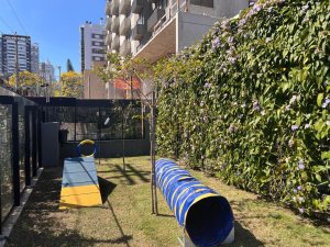 Apartamento com 25m², 1 dormitório no bairro Bela Vista em Porto Alegre para Alugar