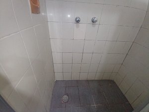 Apartamento com 37m², 1 dormitório no bairro Bonfim em Porto Alegre para Alugar