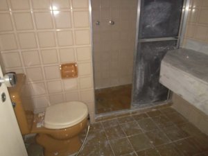 Apartamento com 29m², 1 dormitório no bairro Bom Fim em Porto Alegre para Alugar
