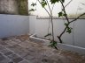 Apartamento com 97m², 2 dormitórios no bairro Santana em Porto Alegre para Alugar