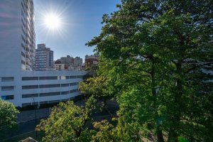 Apartamento com 37m², 1 dormitório no bairro Cidade Baixa em Porto Alegre para Alugar