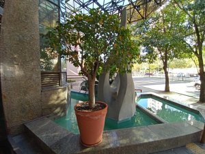 Salas/Conjuntos com 40m² no bairro Auxiliadora em Porto Alegre para Alugar