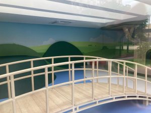 Apartamento com 57m², 2 dormitórios no bairro Jardim Lindóia em Porto Alegre para Alugar