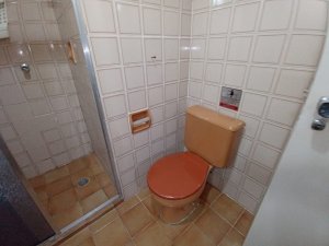 Apartamento com 37m², 1 dormitório no bairro Rio Branco em Porto Alegre para Alugar