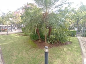 Apartamento com 84m², 2 dormitórios no bairro Chácara Das Pedras em Porto Alegre para Alugar